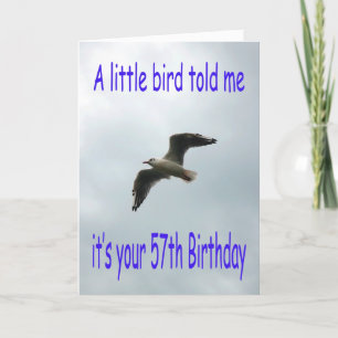 Happy 57th Birthday Flying Seagull bird Card
