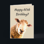 Happy  60th Birthday Funny Sheep Animal Humour Card<br><div class="desc">Happy  60th  Sixty Birthday Funny Sheep Animal Humour growing older is bullsheep</div>