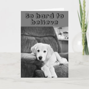 HAPPY ***60th*** BIRTHDAY TO YOU from CUTE PUP Card