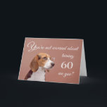 Happy 60th birthday, worried beagle card<br><div class="desc">Humourous birthday card featuring a cute beagle wearing glasses,  who is not at all worried about the birthday person any getting older. After all,  in dog years,  they'd be their age times 7! Designed by Rycky Creations; lab photo courtesy of PhotoRack.</div>