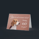 Happy 60th birthday, worried beagle card<br><div class="desc">Humourous birthday card featuring a cute beagle wearing glasses,  who is not at all worried about the birthday person any getting older. After all,  in dog years,  they'd be their age times 7! Designed by Rycky Creations; lab photo courtesy of PhotoRack.</div>