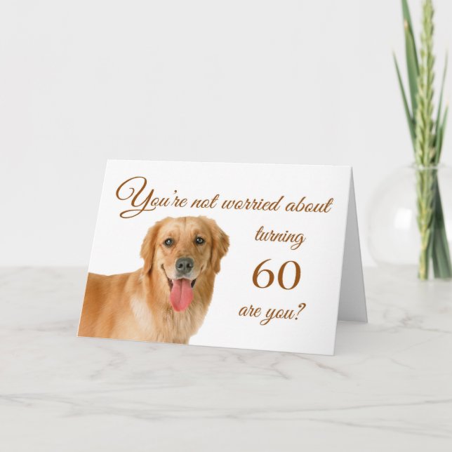 Happy 60th birthday, worried lab card (Front)