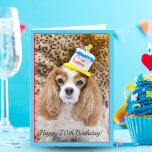 Happy 70th Birthday Cavalier King Charles Birthday Card<br><div class="desc">This is Isabella,  my Cavalier King Charles Spaniel,  who was turning 12 on the day this was taken. She is never to old to party! I thought this would make a great birthday card for someone in their golden age.</div>