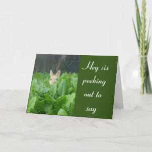 HAPPY **70th** BIRTHDAY ***SISTER*** CARD