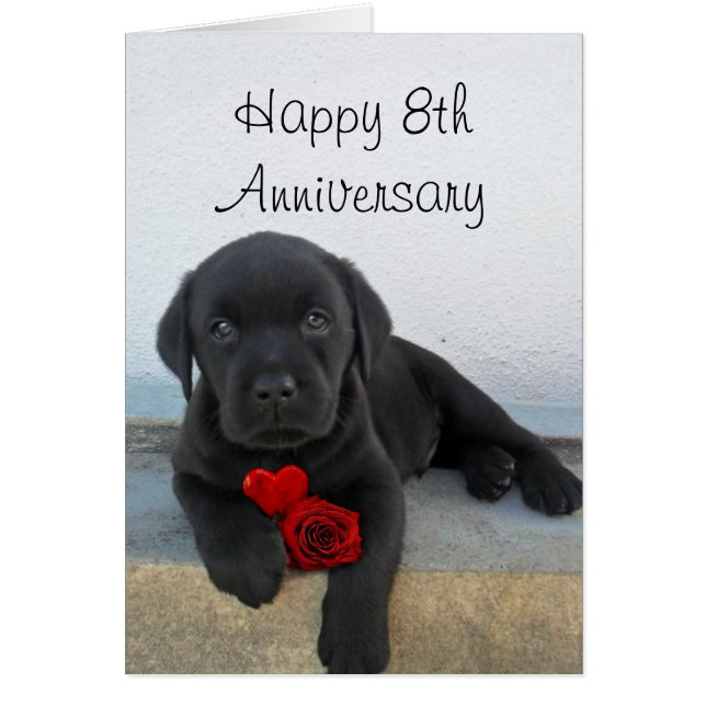 Happy 8th Anniversary Labrador puppy greeting card (Front)