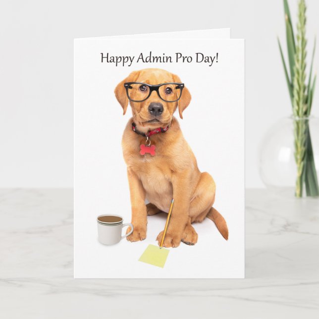 Happy Administrative Professional Day Cute Lab Dog Holiday Card (Front)