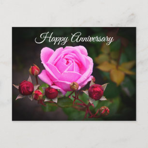 Happy Anniversary Bishop’s Castle Rose #1 Postcard