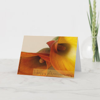 Happy Anniversary Card