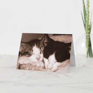 Happy Anniversary Card