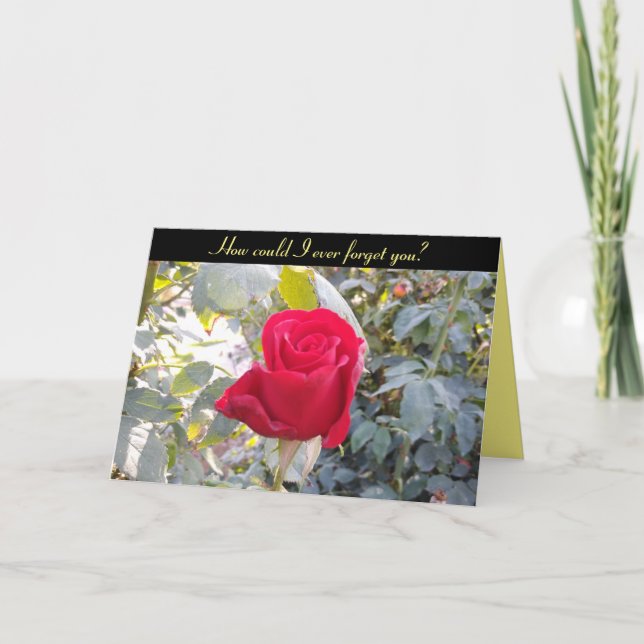 Happy Anniversary card - red rose funny (Front)