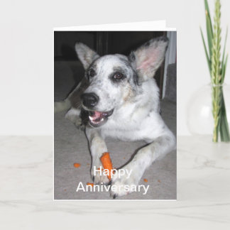 Happy Anniversary Carrot 'bout Card