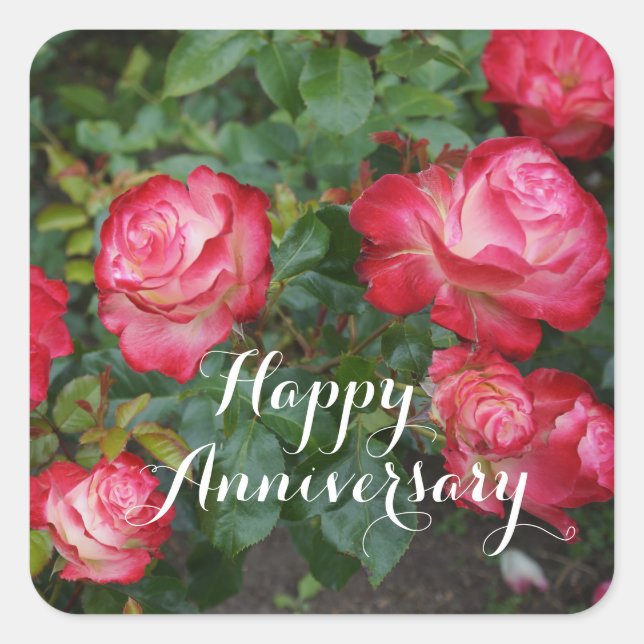 Happy Anniversary Cherry Parfait Rose #5-1 Square Sticker (Front)
