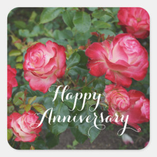 Happy Anniversary Cherry Parfait Rose #5-1 Square Sticker