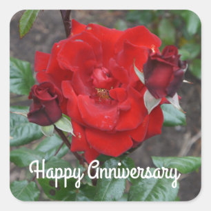Happy Anniversary Crimson Bouquet Rose #1 Stickers