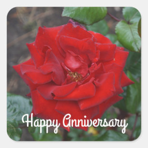 Happy Anniversary Crimson Bouquet Rose #3 Stickers