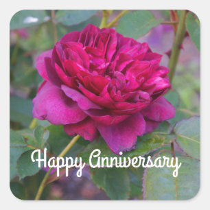Happy Anniversary Darcey Bussell Rose #1 Stickers
