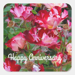 Happy Anniversary Fourth of July Rose #2 Stickers