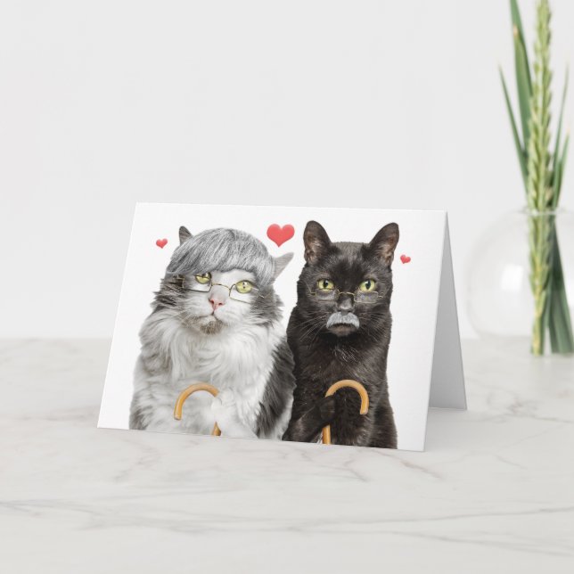 Happy Anniversary Funny Old Cat Couple  Holiday Card (Front)