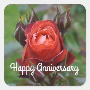 Happy Anniversary Hot Cocoa Rose #1 Stickers