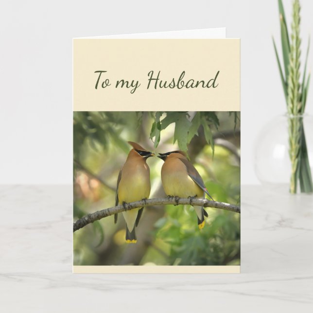 Happy Anniversary Husband Birds in Love Fun  Card (Front)