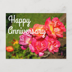 Happy Anniversary Joseph’s Coat Rose #1 Postcard