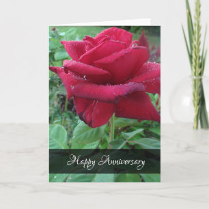 Happy Anniversary Love Red Rose Raindrops Card