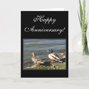 Happy Anniversary Mallard ducks greeting card