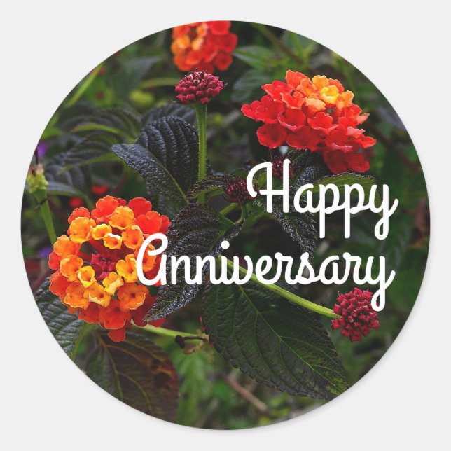 Happy Anniversary Orange Red Trailing Lantana #1 C Classic Round Sticker (Front)