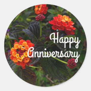Happy Anniversary Orange Red Trailing Lantana #1 C Classic Round Sticker