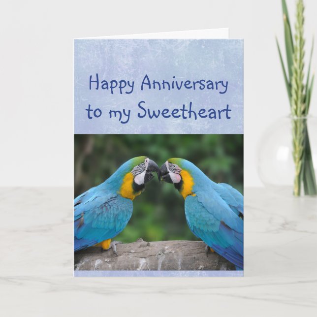 Happy Anniversary Parrot Sweetheart Love Card (Front)
