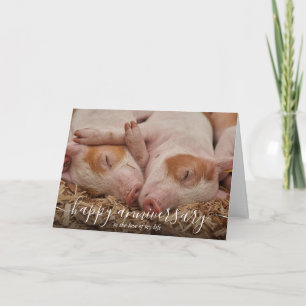 Happy Anniversary Pig Custom Card
