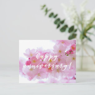 Happy Anniversary! Pink Cherry Flower - Photo Postcard