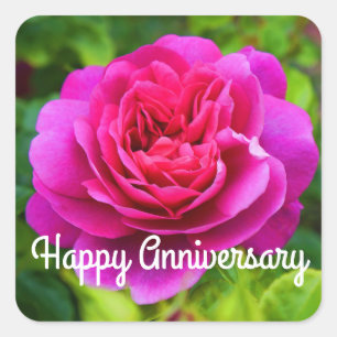 Happy Anniversary Princess Anne Rose #1 Stickers