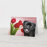 Happy Anniversary Pug greeting card