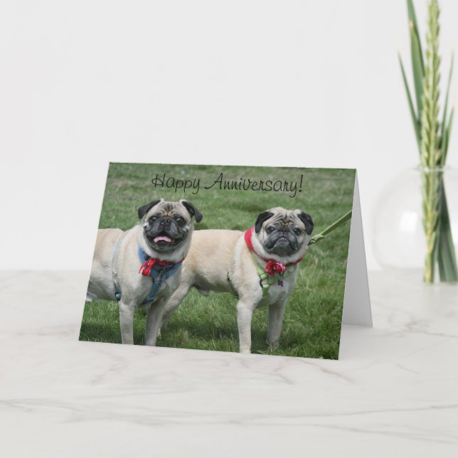 Happy Anniversary Pug Greeting Card (Front)