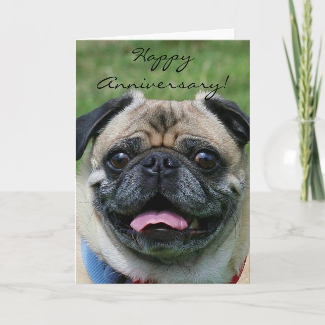 Happy Anniversary Pug Greeting Card (Front)