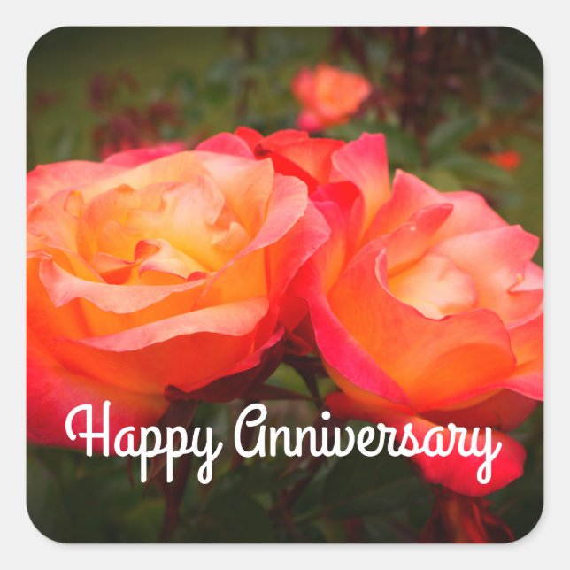 Happy Anniversary Rainbow Sorbet Rose #3 Stickers (Front)