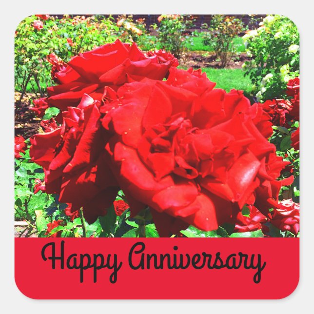 Happy Anniversary Red Rose #1 Stickers (Front)