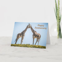 Happy Anniversary Romantic Giraffes Kissing