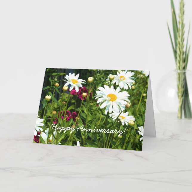 Happy Anniversary Shasta Daisy Greeting card (Front)