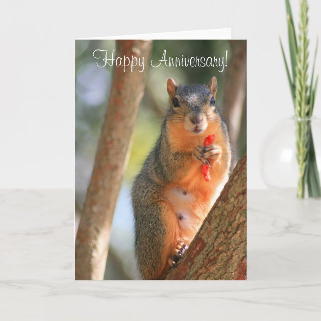 Happy Anniversary Squirrel Greeting Card (Front)