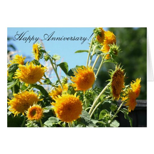 Happy Anniversary Sunflower Greeting card | Zazzle