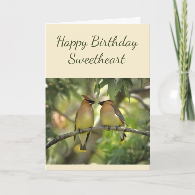 Happy Anniversary Sweetheart Birds in Love Fun Card (Front)