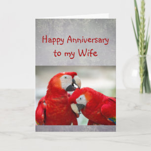 Happy Anniversary Sweetheart Parrot Wife Love Card