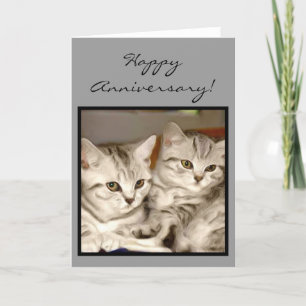 Happy Anniversary Tabby Kittens greeting card