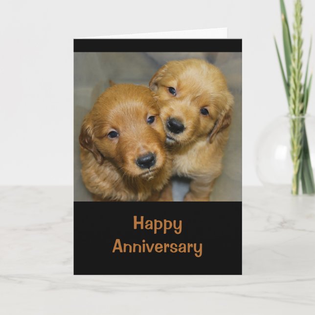 Happy Anniversary To A Dog-Gone Cute Couple Card (Front)