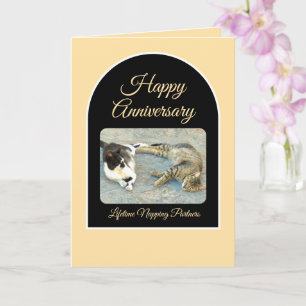 Happy Anniversary To My Napping Partner/kittens Card