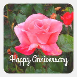 Happy Anniversary Touch of Class Rose #1 Stickers