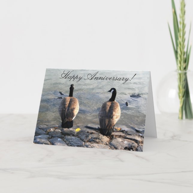 Happy Anniversary Two Canadian Geese greeting card (Front)