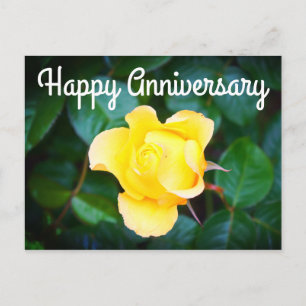 Happy Anniversary Walking on Sunshine Rose #1 Postcard